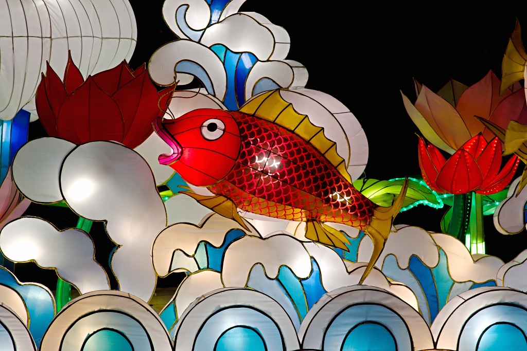 china light licht festival lichtshow show festiviteit glow evenement event chinees chinese verlichting draak dragon lichtfestival zoo